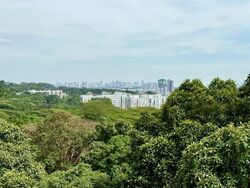 The Hillside (D21), Condominium #501649181